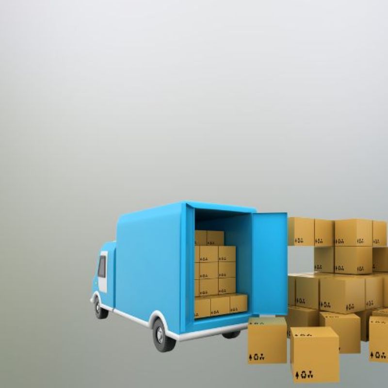 Seguro Transporte
